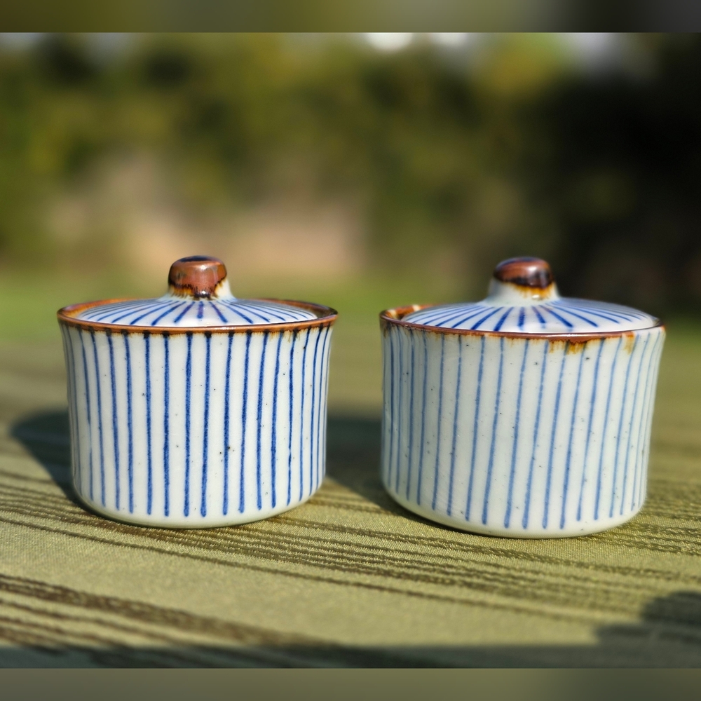 Set of 2 Blue & White Striped Lidded Ceramic Condiment Jars | Minimalist